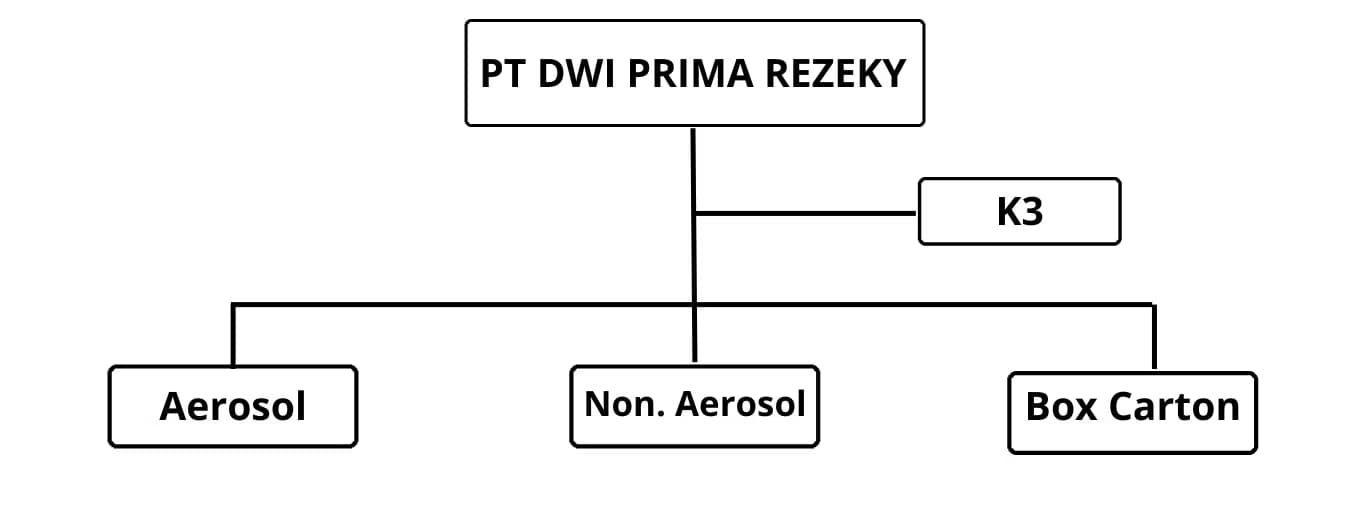 Struktur organisasi PT Dwi Prima Rezeky